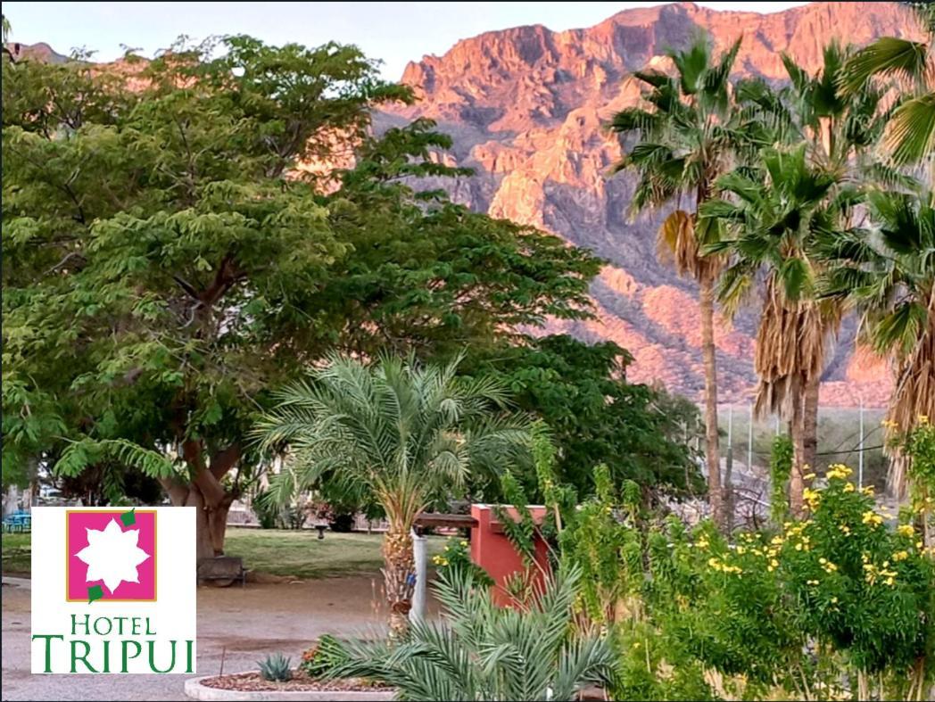 Tripui Hotel Puerto Escondido  Dış mekan fotoğraf