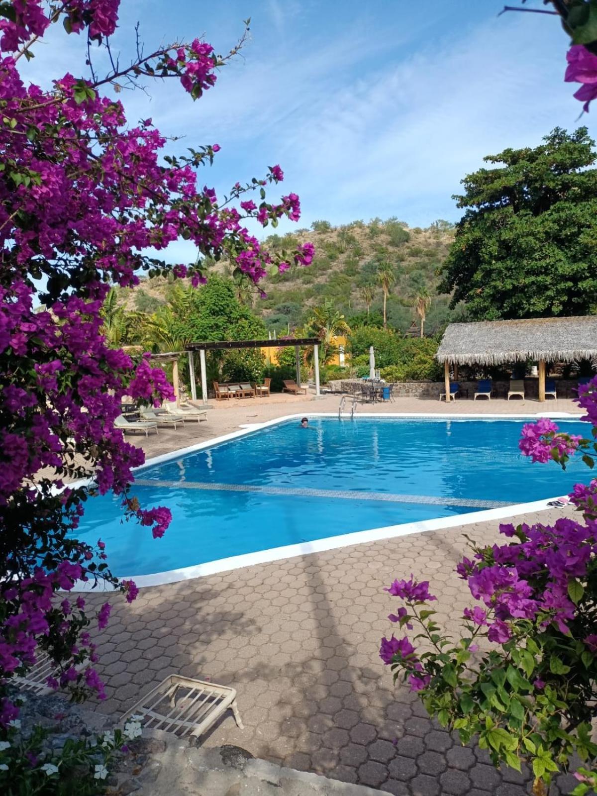 Tripui Hotel Puerto Escondido  Dış mekan fotoğraf